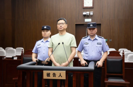 牛操盘 严俊被判12年，曾是陈戌源的搭档