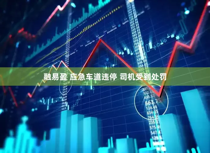 融易盈 应急车道违停 司机受到处罚