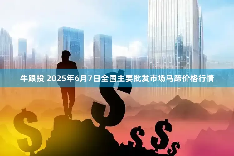牛跟投 2025年6月7日全国主要批发市场马蹄价格行情
