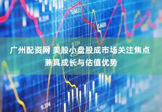广州配资网 美股小盘股成市场关注焦点 兼具成长与估值优势